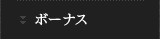 ボーナス